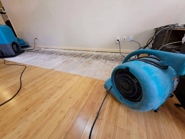 Professional Flood Damage Cleanup technician working in Tinsley, MS